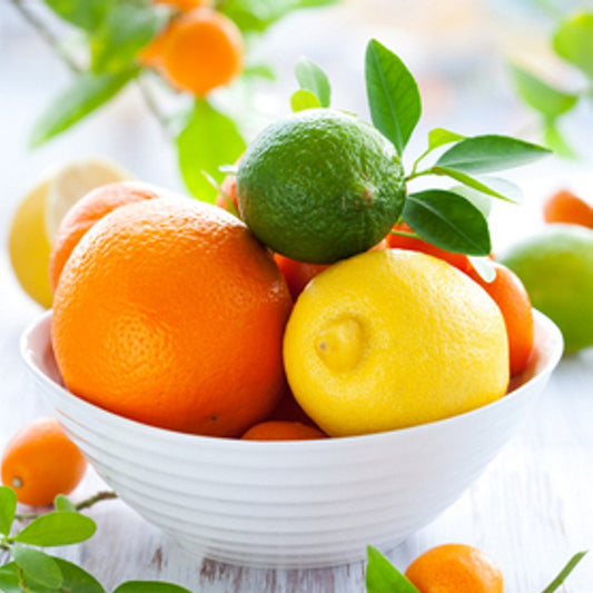 Citrus Odor Eliminator