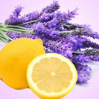 lemon scented lavender plant Lemon Lavender – Lorel Candle Company