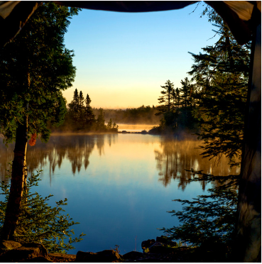 Lakeside Pine