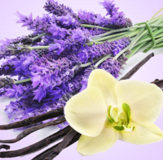 Lavender Vanilla