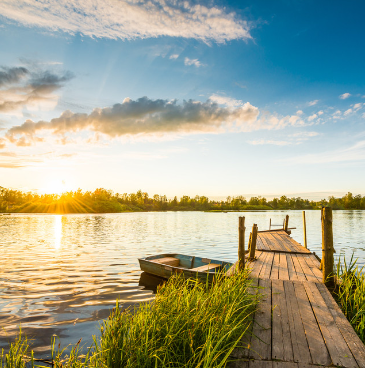Lakeside Summer
