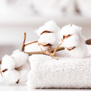 Clean Fresh Cotton