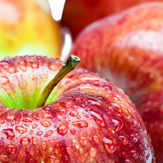 Macintosh Apple